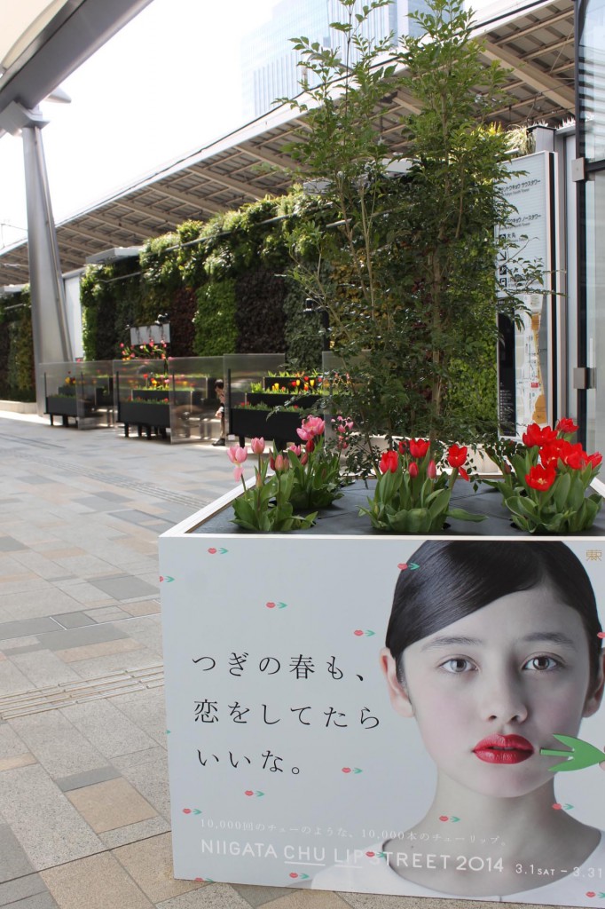 ©トコナツ歩兵団/parkERs（by Aoyama Flower Market）