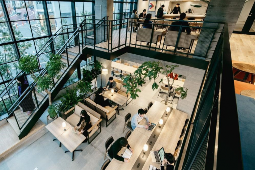 ©️SHIMOKITA COLLEGE